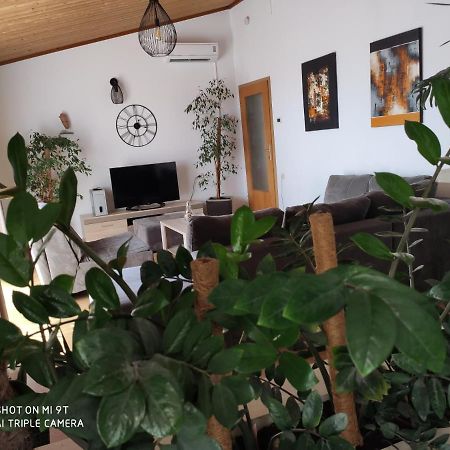 Apartment Burich Makarska Ngoại thất bức ảnh