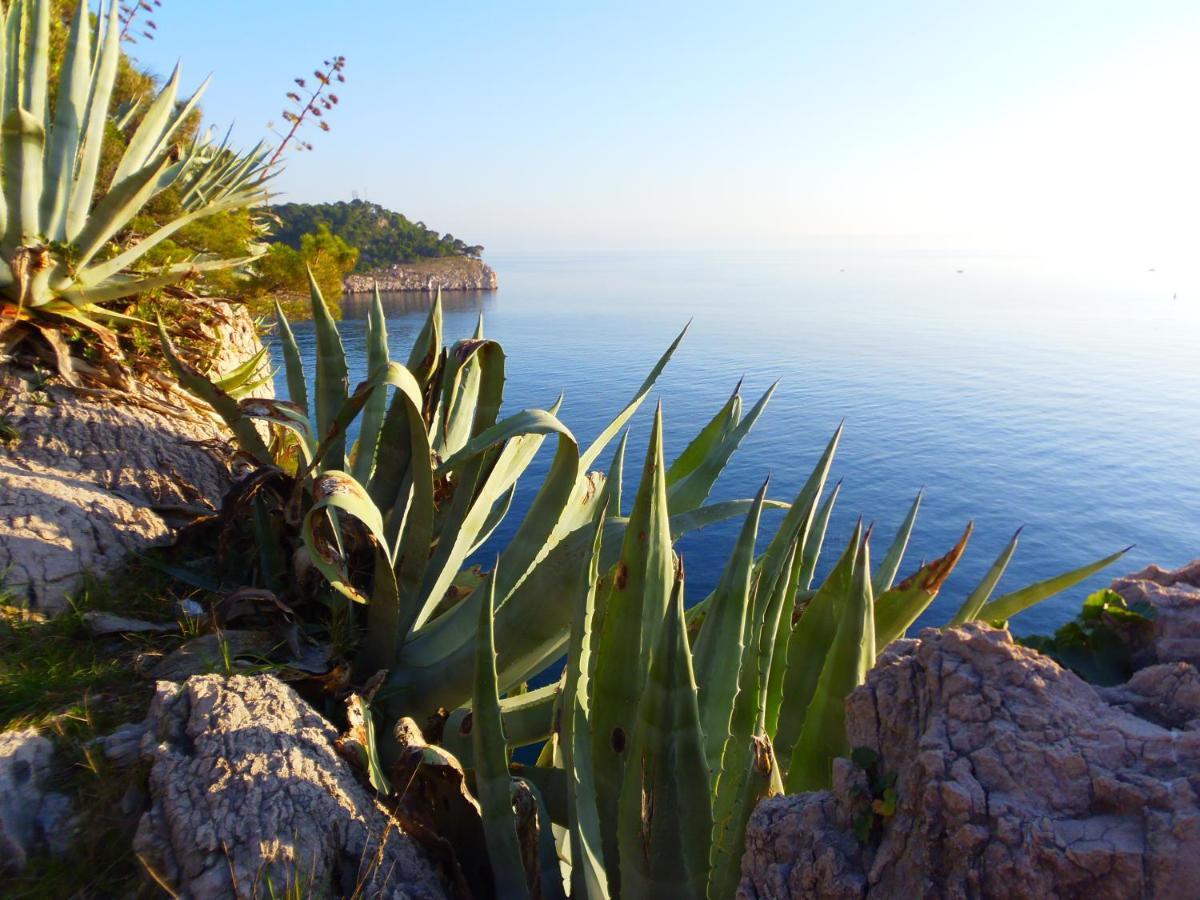 Apartment Burich Makarska Ngoại thất bức ảnh
